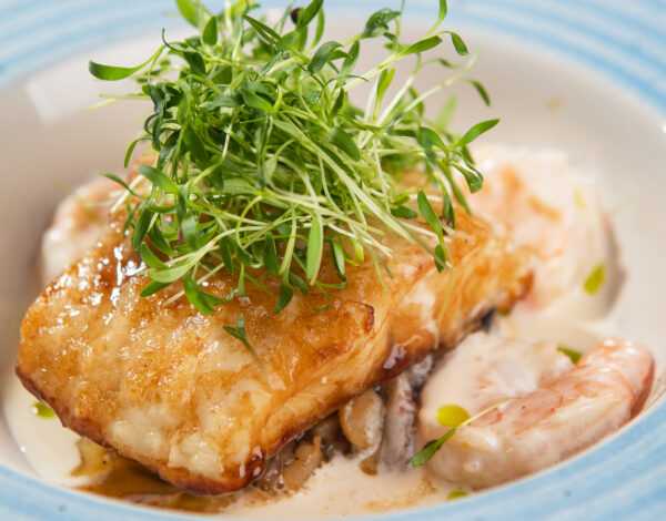Pike perch in unagi sauce