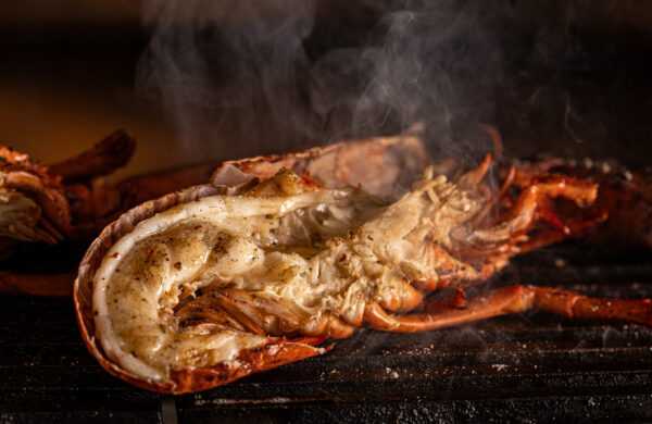 Lobster (on a robata grill; wild-caught)