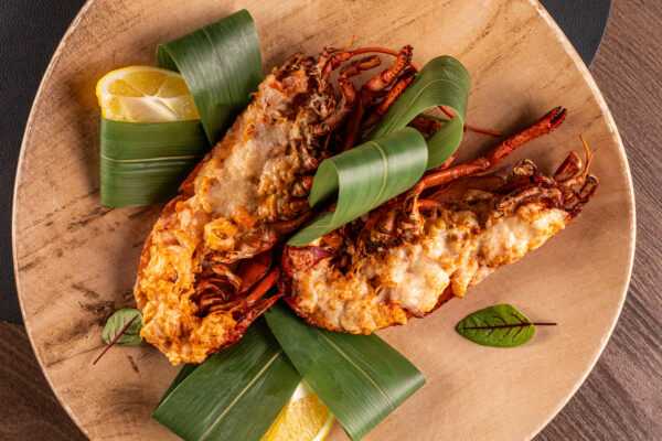 Lobster Thermidor (wild-caught)