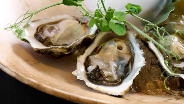 Gillardeau Special №1 (France)