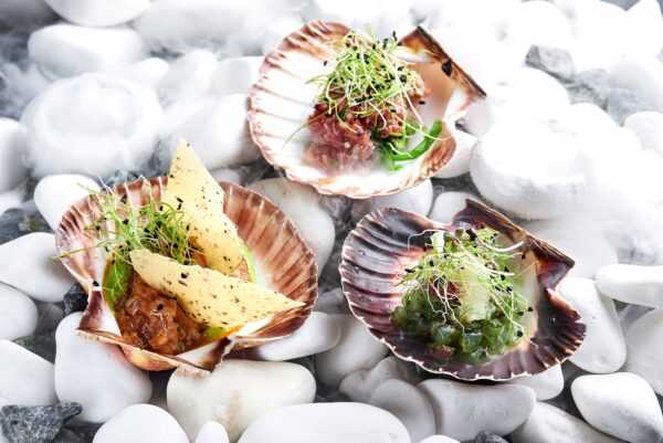 Assorted refined starters