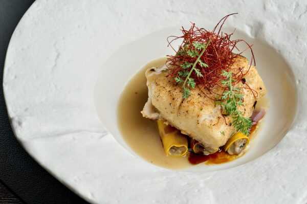 Halibut fillet in a cheese crust